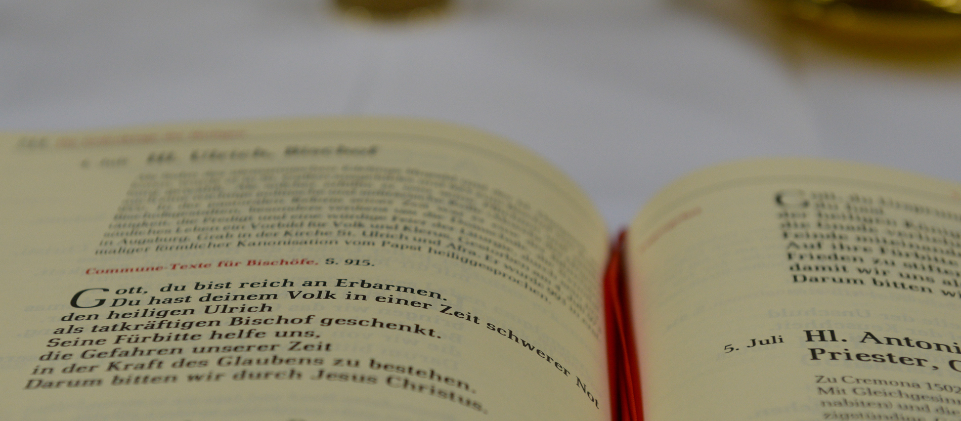Teološki temelji ekologije u postsinodalnoj apostolskoj pobudnici „Verbum Domini“